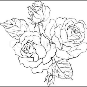 Meet your Posher, Charlisse